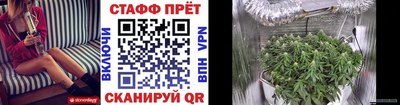 Как найти наркотики Муром ГАШ  Галлюциногенные грибы  Меф  Каннабис 