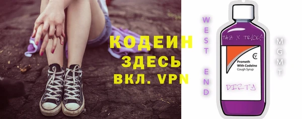 apvp Алзамай