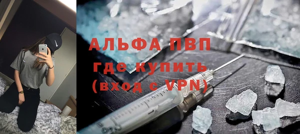 apvp Алзамай
