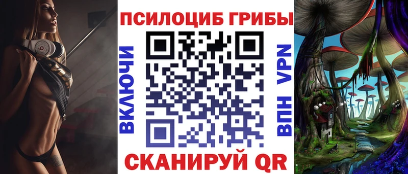 где купить наркоту  darknet телеграм  KRAKEN   Псилоцибиновые грибы ЛСД  Муром 